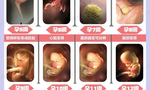 老是打哈欠是怀孕的症状吗-备孕期间大姨妈老是推迟怎么办、备孕期突然特别想睡觉 -备孕期间老是打哈欠网